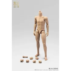 Corps Homme Male Body 1/6...
