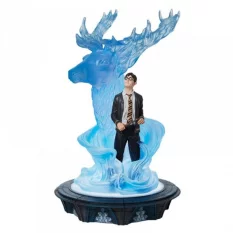 Harry Potter Figure Harry &...