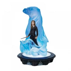 Harry Potter Figurine...