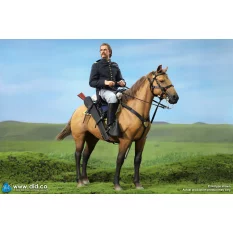 Civil War Brown War Horse...
