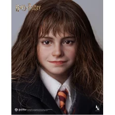 Harry Potter Hermione...