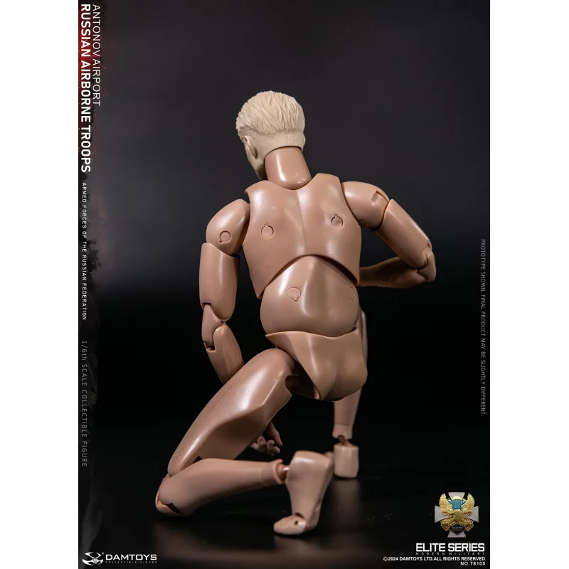 Russian Airborne Troops Antonov Airport Senior Rifleman Collectible Action Figure 1/6 78105 DAMTOYS