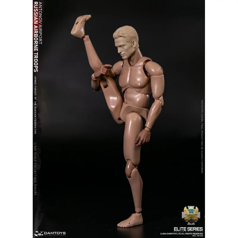 Russian Airborne Troops Antonov Airport Senior Rifleman Collectible Action Figure 1/6 78105 DAMTOYS