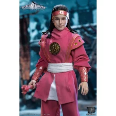 Pink Ninja Collectible...