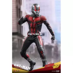 Hot toys ant man hot sale