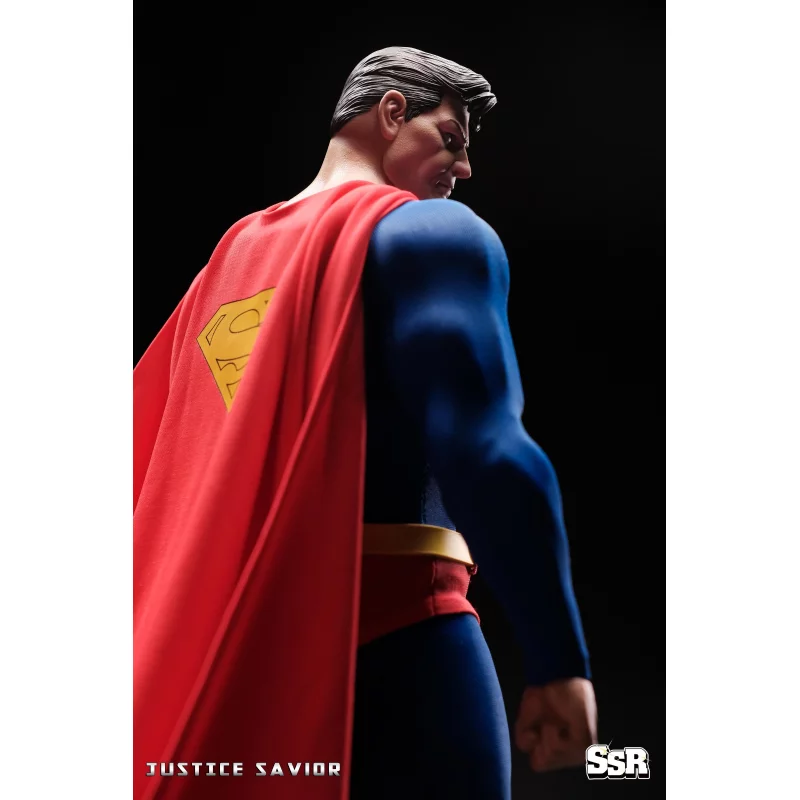 Justice Savior Collectible Action Figure 1/6 SSR SSC-014