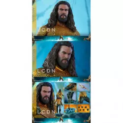 Hot Toys MMS518 Aquaman Jason Momoa 1/6 Collectible Figurine 33cm (Boite Scellée)