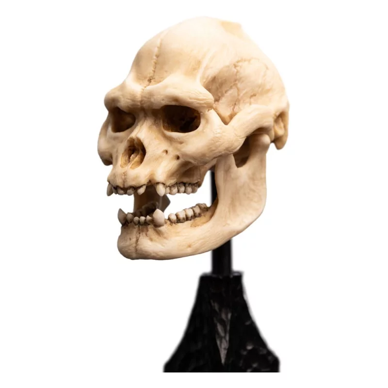 Le Seigneur des Anneaux (Lord of the Rings) Statue Skull of Lurtz 14cm