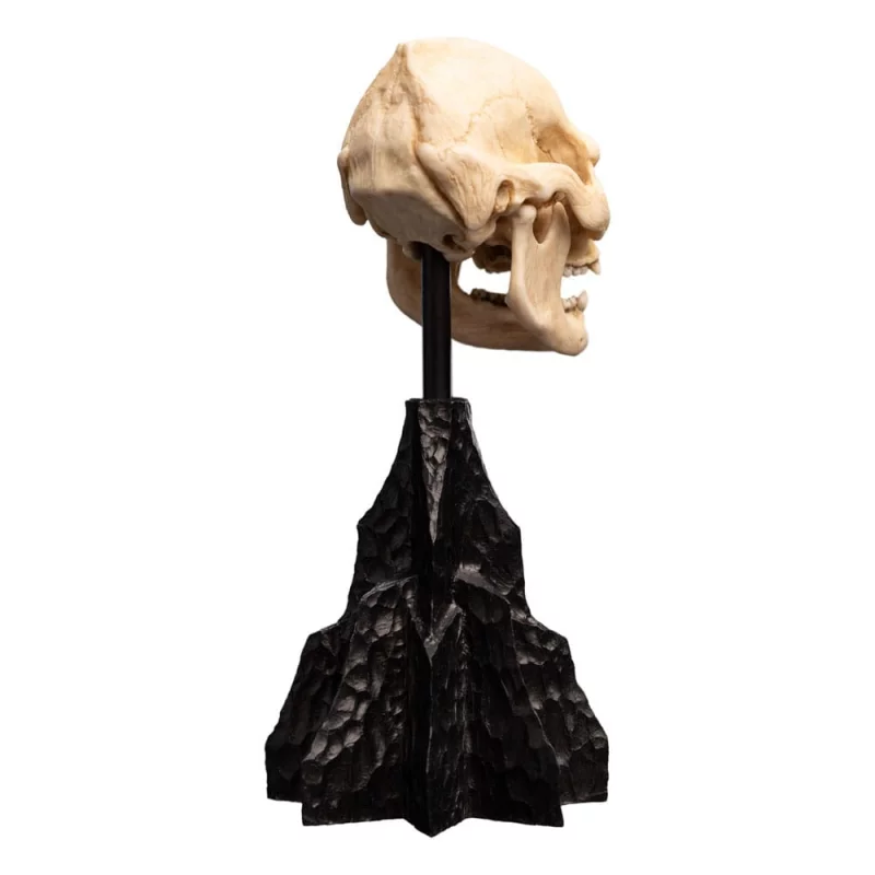 Le Seigneur des Anneaux (Lord of the Rings) Statue Skull of Lurtz 14cm