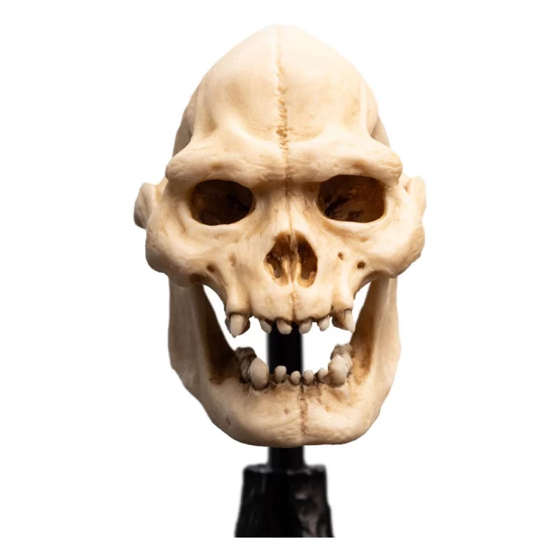 Le Seigneur des Anneaux (Lord of the Rings) Statue Skull of Lurtz 14cm