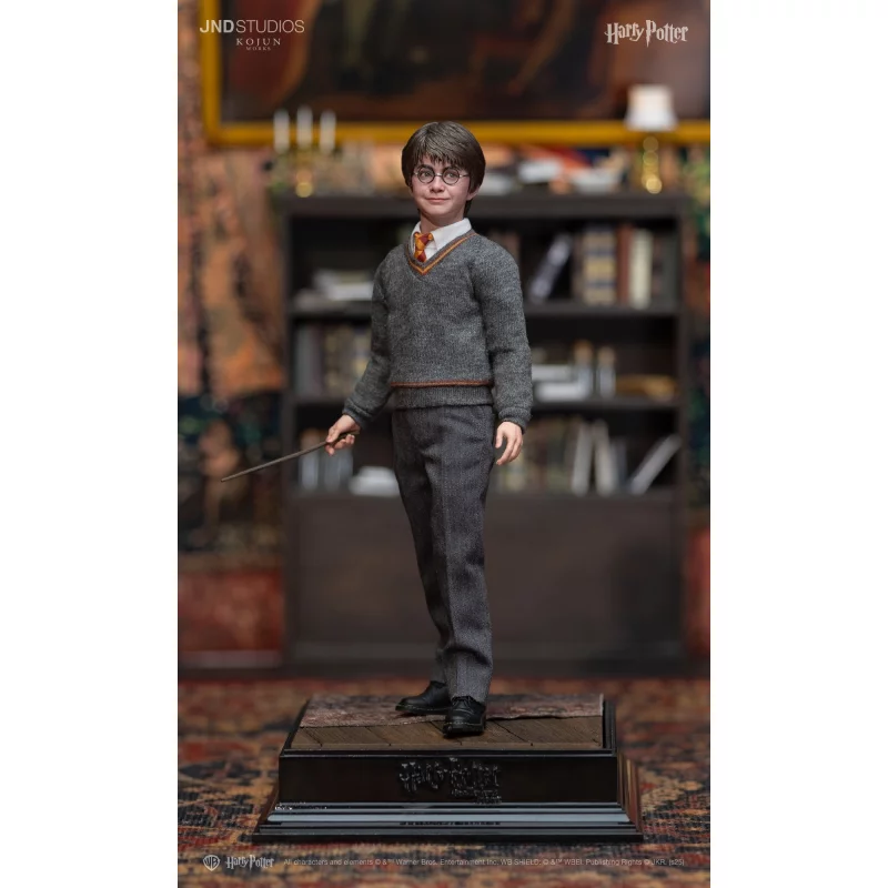 Harry Potter Collectible Action Figure 1/6 Harry Potter LITE
