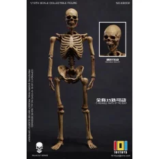 Palm Elf Series No.ES002 Squelette Skeleton Frame (Original Color Ver.) Action Figure 1/12 101TOYS