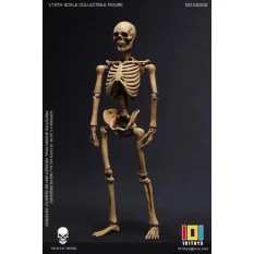Palm Elf Series No.ES002 Squelette Skeleton Frame (Original Color Ver.) Action Figure 1/12 101TOYS