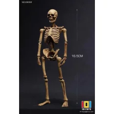 Palm Elf Series No.ES002 Squelette Skeleton Frame (Original Color Ver.) Action Figure 1/12 101TOYS