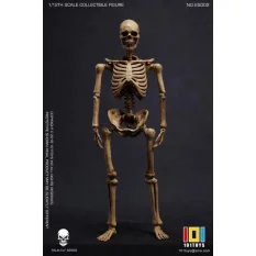 Palm Elf Series No.ES002 Squelette Skeleton Frame (Original Color Ver.) Action Figure 1/12 101TOYS