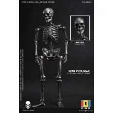 Palm Elf Series No.ES001 Squelette Skeleton Frame (Silver Color Ver.) Action Figurine 1/12 101TOYS