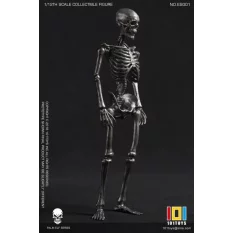 Palm Elf Series No.ES001 Squelette Skeleton Frame (Silver Color Ver.) Action Figurine 1/12 101TOYS