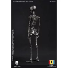 Palm Elf Series No.ES001 Squelette Skeleton Frame (Silver Color Ver.) Action Figurine 1/12 101TOYS
