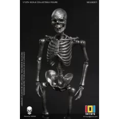 Palm Elf Series No.ES001 Squelette Skeleton Frame (Silver Color Ver.) Action Figurine 1/12 101TOYS