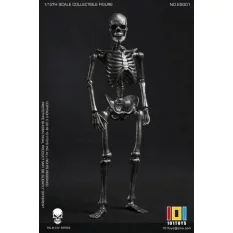 Palm Elf Series No.ES001 Squelette Skeleton Frame (Silver Color Ver.) Action Figurine 1/12 101TOYS