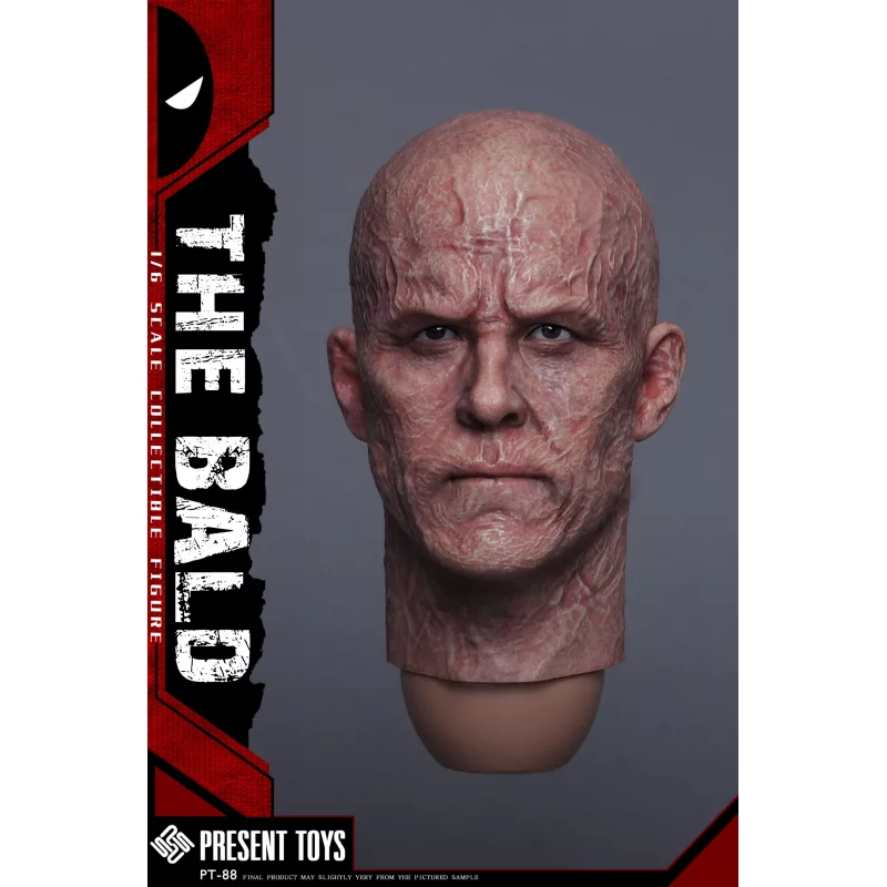 その他 PRESENT TOYS Male Head Sculpture PT-SP75 PRESENT TOYS Male Head Sculpture PT-SP75の通販 by 模玩堂