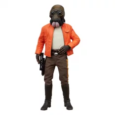 Star Wars Collectible...