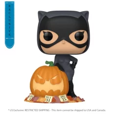 Batman POP! Heroes Catwoman...