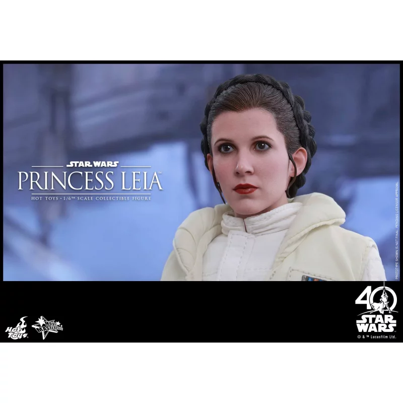 Hot Toys MMS423 Star Wars L&#039;Empire Contre-Attaque Princesse Leia 1/6 Collectible Figurine 26cm (Neuf)