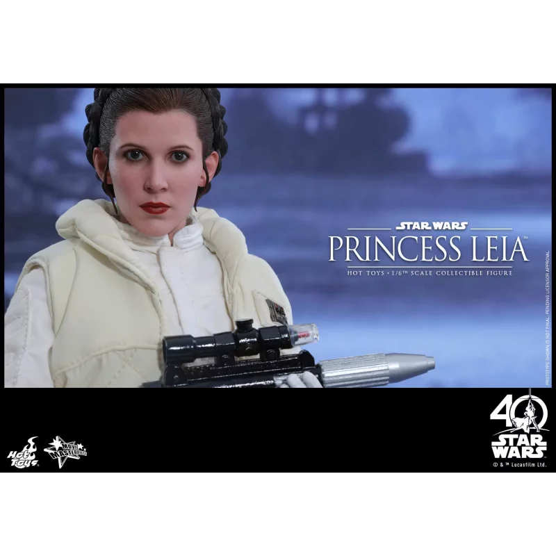Hot Toys MMS423 Star Wars L&#039;Empire Contre-Attaque Princesse Leia 1/6 Collectible Figurine 26cm (Neuf)
