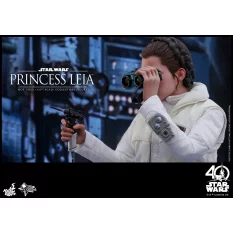 Hot Toys MMS423 Star Wars L'Empire Contre-Attaque Princesse Leia 1/6 Collectible Figurine 26cm (Neuf)