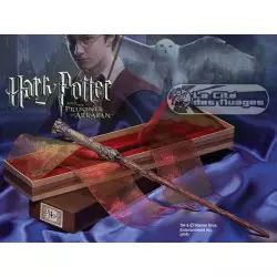 Harry Potter réplique...