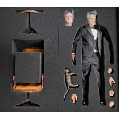 Condition : Figure in perfect state. Has been displayed. Open for check.