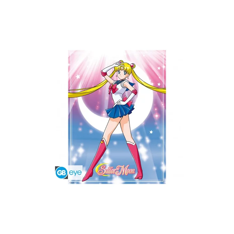 Sailor Moon Set of 2 Chibi Posters Sailor Moon &amp; Cats 52x38cm
