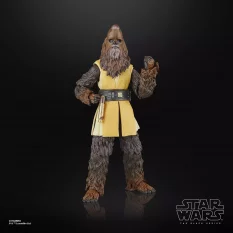 Star Wars: The Acolyte The Black Series Action Figure Jedi Master Kelnacca 15cm