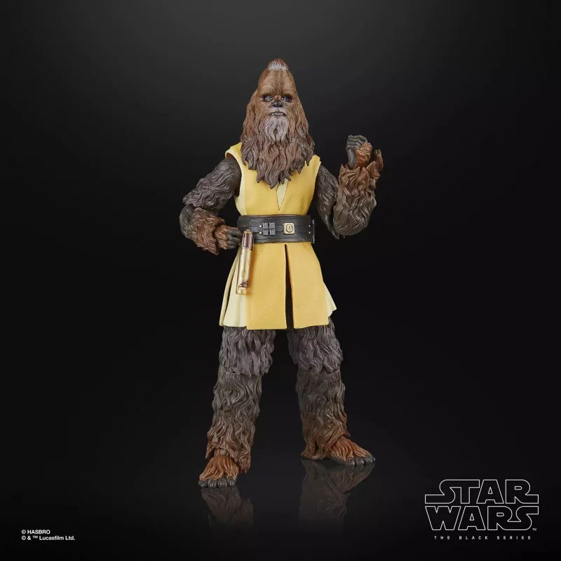 Star Wars: The Acolyte The Black Series Action Figure Jedi Master Kelnacca 15cm