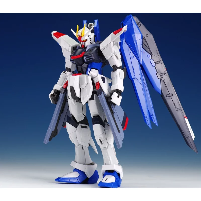 RG Gundam Gunpla 05 Freedom ZGMF-X10A Gundam 1/144 Maquette 13cm