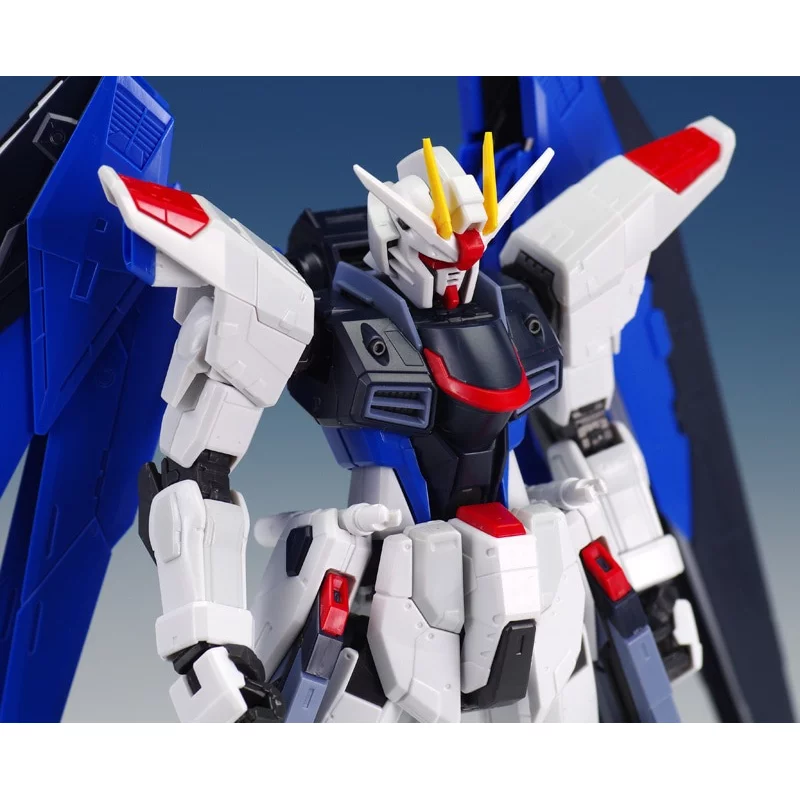 RG Gundam Gunpla 05 Freedom ZGMF-X10A Gundam 1/144 Maquette 13cm