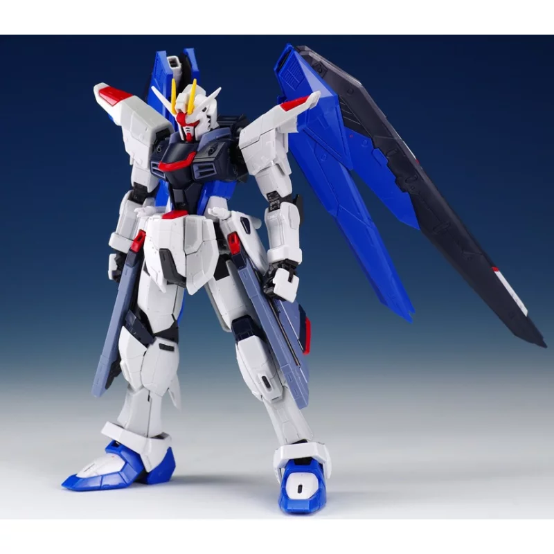 RG Gundam Gunpla 05 Freedom ZGMF-X10A Gundam 1/144 Maquette 13cm