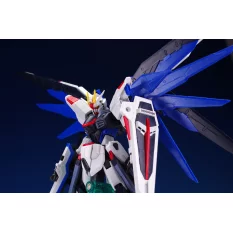 RG Gundam Gunpla 05 Freedom ZGMF-X10A Gundam 1/144 Maquette 13cm