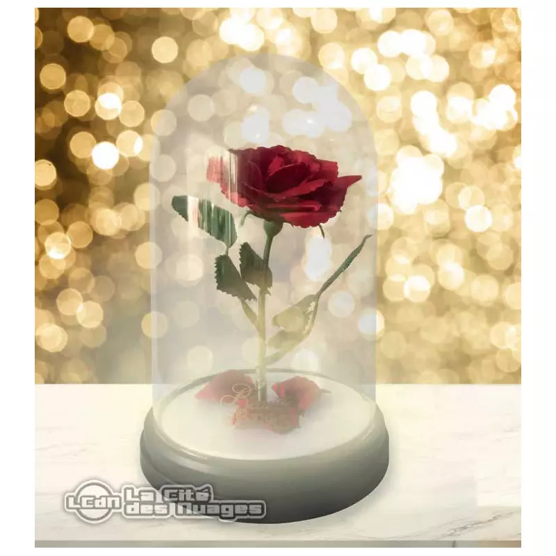 Beauty and beast rose light deals
