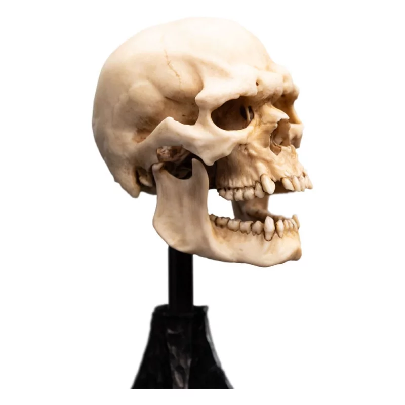 Le Seigneur des Anneaux (Lord of the Rings) Statue Skull of Mordor Orc 14cm