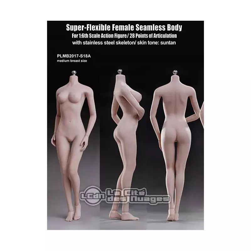 TBLeague 1:6 Girl Medium Breast Seamless Figure Body Model PHMB2019-S34 S35  12