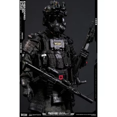 Tactical Group Extreme Battlefield Special Warfare Ming Dynasty Jinyiwei Collectible Action Figure 1/6 NO.EBS003 DAMTOYS X TRN