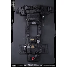 Tactical Group Extreme Battlefield Special Warfare Ming Dynasty Jinyiwei Collectible Action Figure 1/6 NO.EBS003 DAMTOYS X TRN