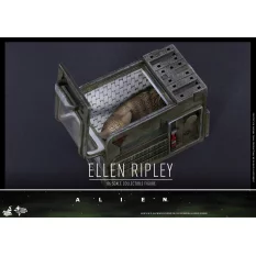 Hot Toys MMS366 Alien Ellen Ripley Sigourney Weaver 1/6th scale Collectible Figure 30cm (Sealed Box)