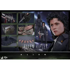 Hot Toys MMS366 Alien Ellen Ripley Sigourney Weaver 1/6th scale Collectible Figure 30cm (Sealed Box)