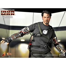 Hot Toys MMS116 Iron Man Collectible Action Figure 1/6 Tony Stark (Mech Test Version) 30cm (Displayed)