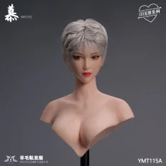 Tête Headsculpt 1/6 Wool...