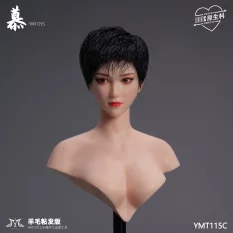 Tête Headsculpt 1/6 Wool...