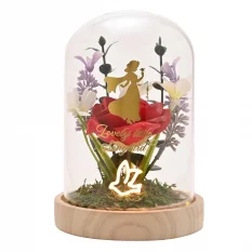 Disney Blanche-Neige et les...